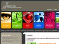 http://www.geniusmm.hu ismertető oldala
